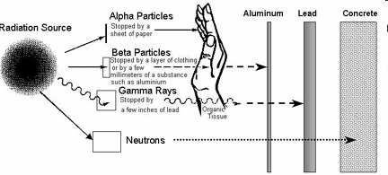 Neutrons energy < 0 kev : Q = 5 0 kev < energy < 00 kev : Q = 0 00 kev < energy < 2 MeV : Q = 20 2 MeV < energy < 20 MeV : Q = 0 energy > 20 MeV : Q = 5 Protons, energy > 2