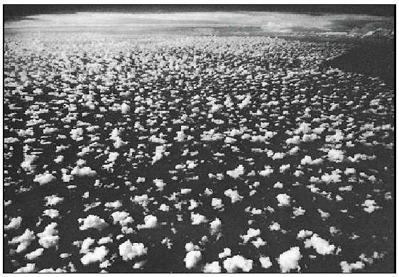 ( cumulus ) : () (cloudes