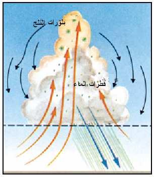 ( : () ( ) çµuζ t/ ß#Ïj9xσãƒ ΝèO $\/$ptx Åe ãƒ!$# βr& t s? óοs9r& ) : ( Ï&Î# n=åz ô ÏΒ ßlã øƒs šxôštθø9$# u tisù $YΒ%xâ ã&é#yèøgs ΝèO â!