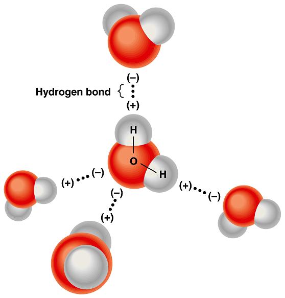 VODONIČNA VEZA Elektrostatička privlačna interakcija između atoma H u jednom molekulu i atoma F, O ili N u susednom molekulu.