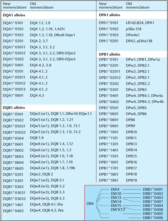 HLA-DR, HLA- DQ, and HLA- DP alleles in the HLA system (class II alleles) 56 خود ژن به صورت چهار رقمي: