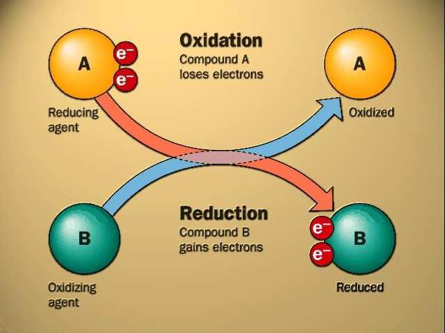 Redoks reakcije Redoks reakcije Prijenos elektrona s jednog reaktanta na drugi reakcijama oksidacije i redukcije U oksidaciji tvar gubi (otpušta) elektrone tj.