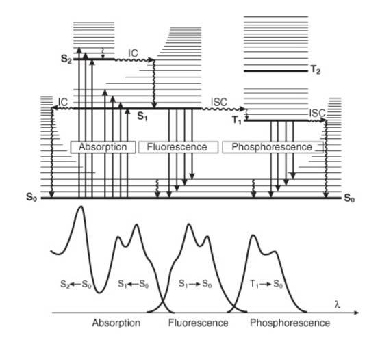 LUCRARE DE LABORATOR Monitorizarea denaturării proteinelor prin spectroscopie de fluorescență Dr. Monica Focsan 1.