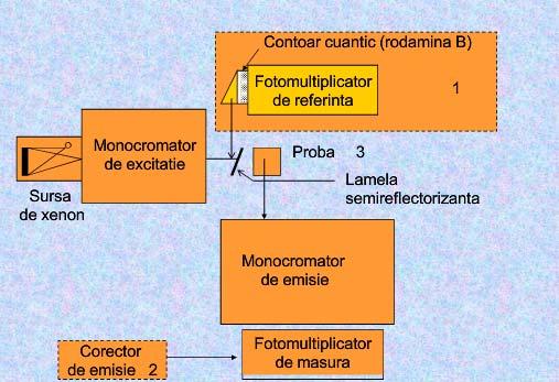 3. Partea experimentală 3.