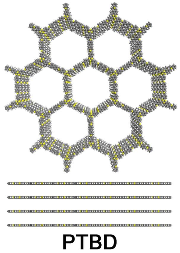 staggered model of PTBD. Fig.