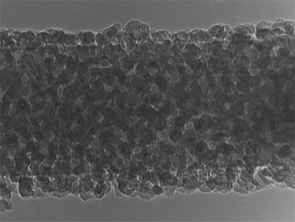 20 nm Kristal Si3N4 prevlečen z nano kristali