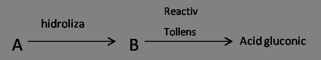 20. Care este formula moleculară a substanței cu compoziția 31,9%C; 5,3%H si 62,89% Cl, ce are densitatea față de aer egala cu 3,9? A. C3H7Cl B. C3H6Cl2 C. C3H4Cl2 D. C2H4Cl2 E.