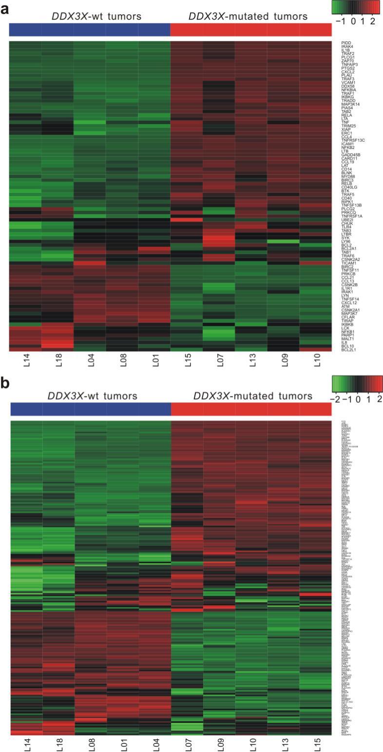 Supplementary Figure 9 Gene-expression profiles of NF- B and MAPK pathways in NKTCL.