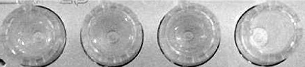 The each fraction was rechromatographed on HAp column with guanidine containing system and standard system.