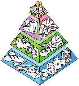 æivilo ne vsebuje vseh hranilnih snovi, zato mora biti naπa prehrana pestra. Pri naërtovanju zdrave, uravnoteæene prehrane, si lahko pomagamo z prehrambno piramido (glej risbo prehrambne piramide!