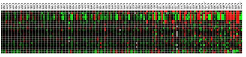 ABA-related transcriptional profiles ABA-related