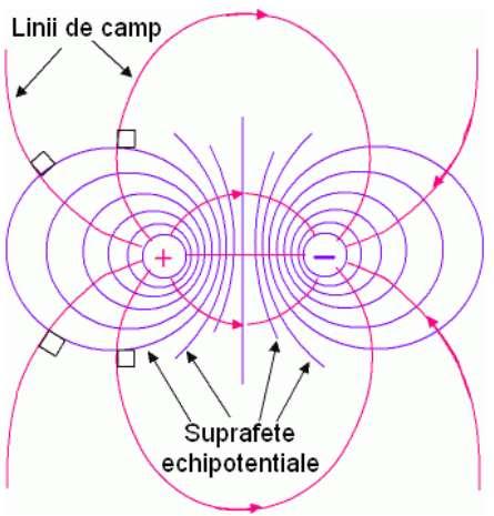 Liniile de câmp electric şi implicit intensităţile câmpului electric sunt perpendiculare pe suprafaţa echipotenţială.