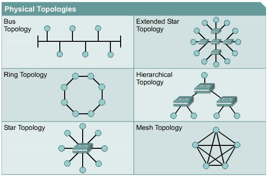 Topology của