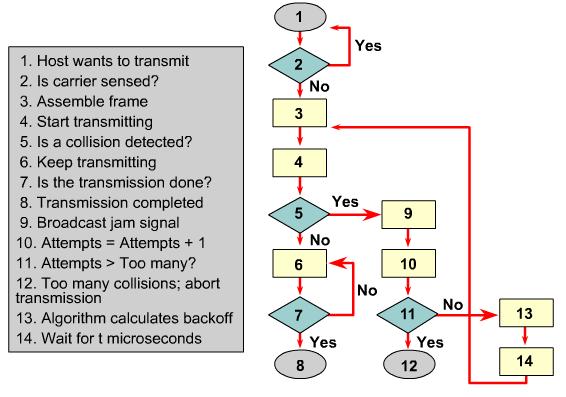 CSMA/CD và giải thuật Backoff Truyền tín hiệu để đảm bảo tín