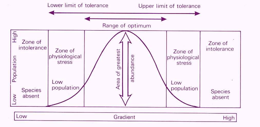 Sugu atbildes līknes species response curves