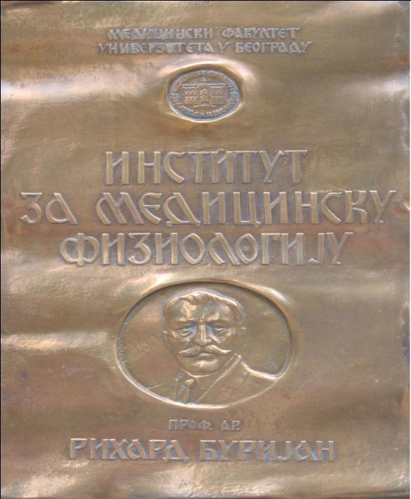 ULOGA HIPOTALAMUSA U
