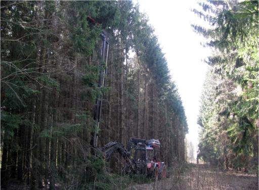 Kailvadu GVL aizsargjosla un trase 6,5m un plānotā aizsargjosla 30m GVL trases visā platumā jāuztur brīvas no kokiem un