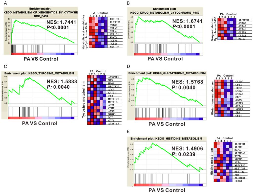 Figure 2. Gene set enrichment analysis (GSEA) of signaling pathways strongly associated with PA (A-E). Normalized Enrichment score (NES) and P value are shown as indicated (left panels).