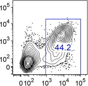 Supplementary Fig.