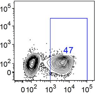 FACS plots obtained from six different donor-derived T cells (a) and the mean fluorescence