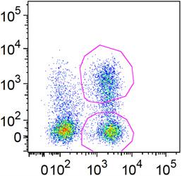 Supplementary Fig. 4 a 28-IL2RBz 28-IL2RBz NGFR (FITC) CD8 (Pacific Blue) 18.6 33.9 22.3 3.1 19.3 28.7 19.5 32.5 2.4 26.3 19.5 28.8 17.9 25.7 18.2 29.