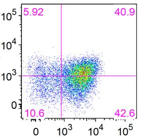 IL-2 K562 No cytokine NALM-6 IL-2 IL-21 PD-L1 (PE) IL-21 TIM-3 (APC-Cy7) PD-1