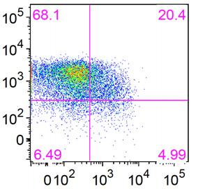 Expression of immunoinhibitory molecules in CAR-T cells upon antigen stimulation.