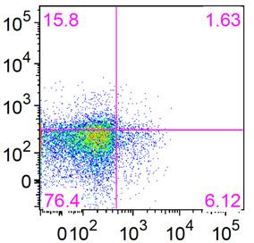 Representative FACS plots (a) and the mean fluorescence inteity (b) are shown