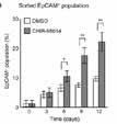 specific inhibitor of p70 ribosomal S6 kinase (S6K1) that inhibits S6K1-mediated phosphorylation of S6 protein in response to IGF-1, while having no effect on highly related RSK and MSK kinases.
