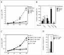 Palbociclibe purchased from Adooq A15226 A15239 ROCK inhibitor-1 SLx-2119 (KD025) A11190 R547 A15888 Ripasudil A11220 Kenpaullone A15921 SAR407899 HCl A11313 A11347 A11962 A12216 A12352 AT7519 HCl