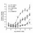 73 Neuronal Signaling Neuronal Signaling 74 The higher the number of " " is, the more potent the inhibitor or activator is.