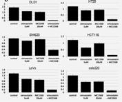 1 Epigenetics Epigenetics 2 Epigenetics A10560 MC1568 A11920 Romidepsin (FK228,Depsipeptide) Cell cycle, 2014, 13(18), 2975-2982 HDAC International journal of cancer, 2014, 135(11), 2528-2536.