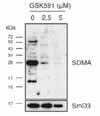 9 Epigenetics Apoptosis 10 A13876 A13947 A14216 A14218 A14315 A14320 A14374 C7280948 3-deazaneplanocin A HCl (DZNep HCl) PFI-2 MI-3 MM-102 UNC0379 GSK591 Cell Rep. 2017 Dec 19; 21(12) 3498 3513.