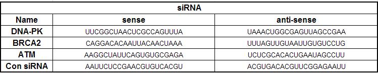 Table 4   Table