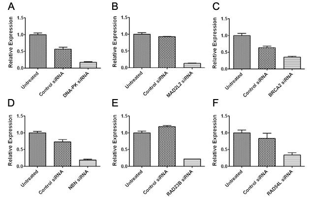 Supplemental Figure 1. sirna-mediated knock-down.