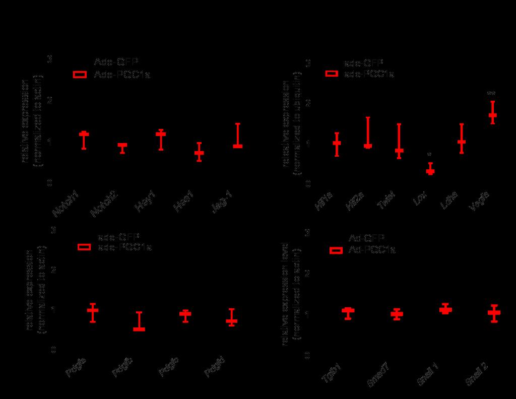Supplement Figure 3. qpcr analysis of cultured podocytes infected with control (GFP) or adenoviral PGC1α (a) Notch pathway gene expression in control and PGC1α expressing cells.