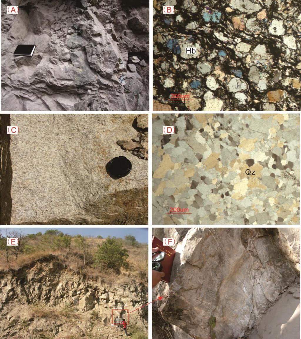 Supplemental file 2 (A) Field photograph of the Xiaguan granodiorite (YN-28). (B) Microscope photograph of the the Xiaguan granodiorite (YN-28A).