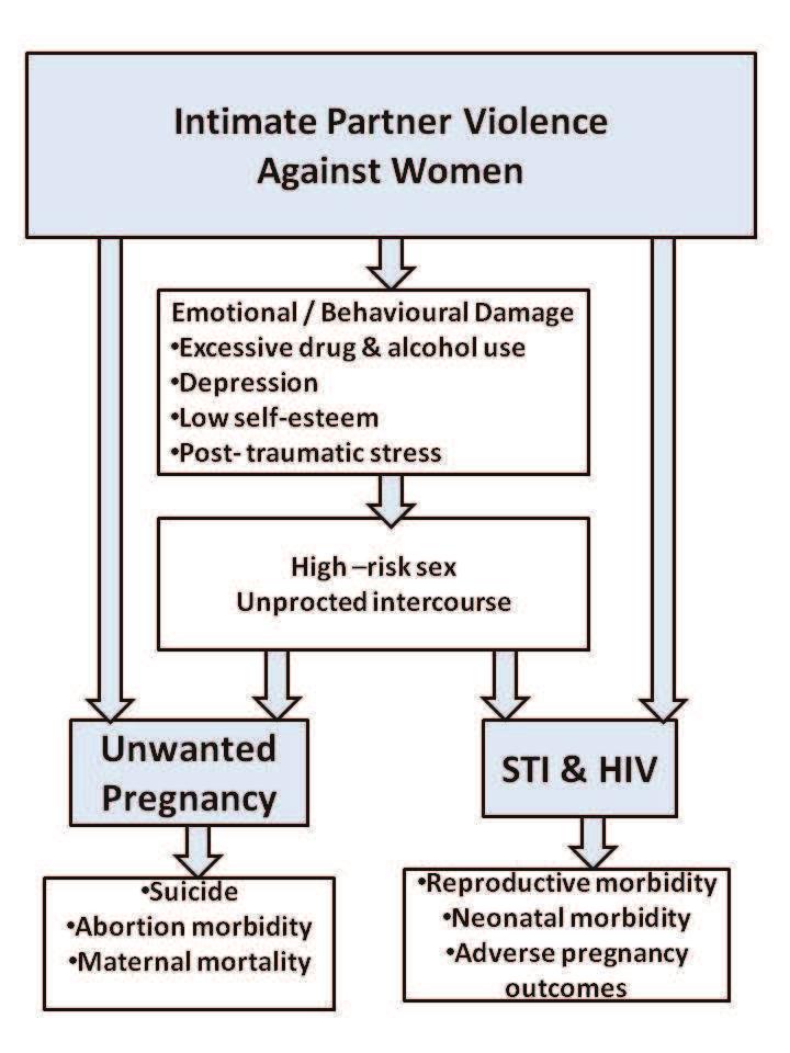 Figure 1: Reproductive health