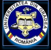 Culici Rareş Rizescu Ionuț Bojor