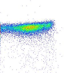 3 2 1 T WT g STAT1 Tg Cell count (x1 6 ) 4 3 2 1 ns CD4 T cells CD4 T cells ns