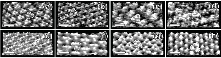 Biointerfaces at the nanoscale 30 mm 100 mm 300 mm 1000 mm Cytopl. Extrcell. 5 nm bar RMS extracell.: 0.