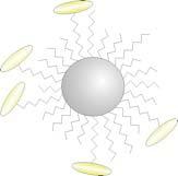 Metal Nanoparticles