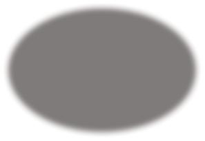 At the interface with biology In nature molecules protein ions lipid vesicles.