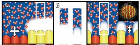 Structural