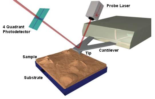 A brief introduction to AM-AFM k c A nanoscale tip mounted