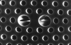 99 22 PCF Fig.15 PCF Fig.16 (23) 1.55µm 1.4 1 3 PCF PCF (24) PCF NTT Fig. 15 SEM photograph of polarization maintaining PCF PCF Fig. 16 Modal birefringence PCF PCF E.