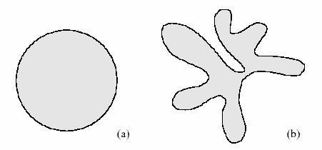 Circularitatea Circularitatea (rotunjimea sau compactitatea) γ ( perimetrul) T = = 4π (