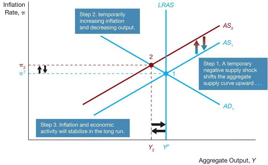 Temporary Aggregate Supply Shock & No