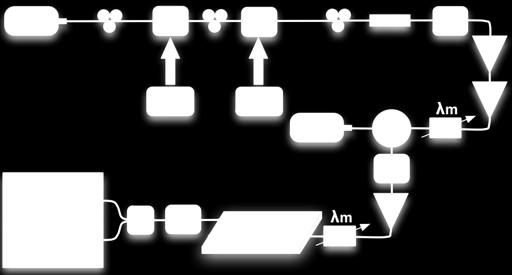 To verify the performance of the proposed regenerator we realized the experimental set up of figure 7 and investigated the behavior of slave laser for 10 DPSK injected signal degraded by two