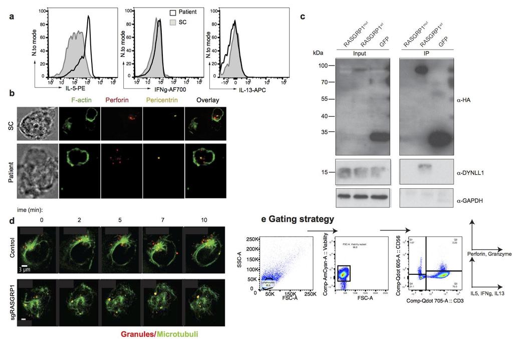 Supplementary Figure 4 NK-cell studies. (a) Flow cytometric analysis of intracellular accumulation of IL-5, IL13 and IFN in patient and control NK cells.